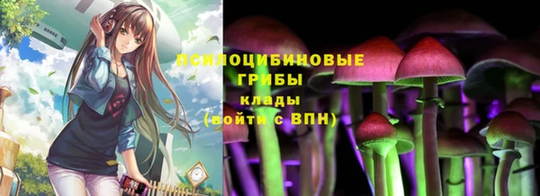 стафф Валуйки