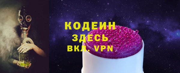 гашик Карпинск