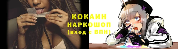молекула духа Каменногорск