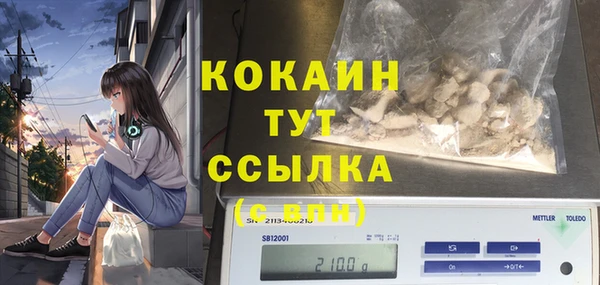 гашик Карпинск