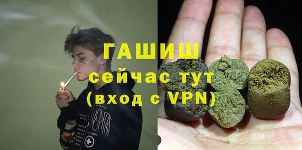 гашик Карпинск