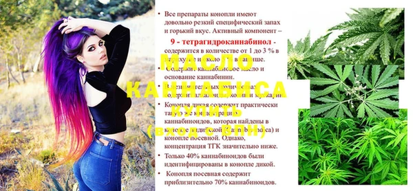 гашик Карпинск